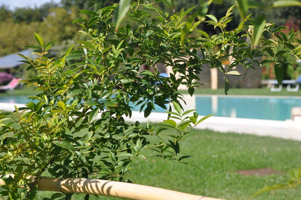 Ca' Matra Villa Lama  Ngoại thất bức ảnh